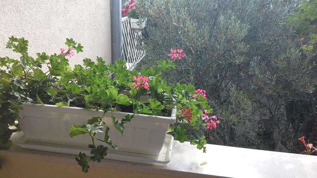 Apartments Anini Dvori بروماجنا المظهر الخارجي الصورة